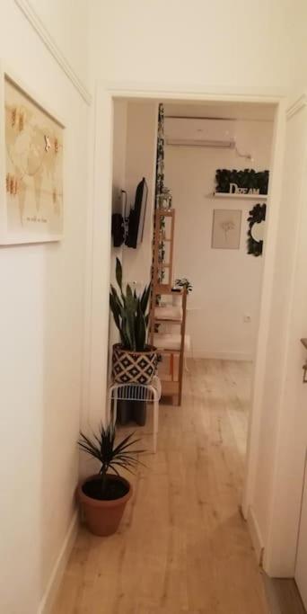 Heart Of Athens II 25Sqm Apartment Exterior photo